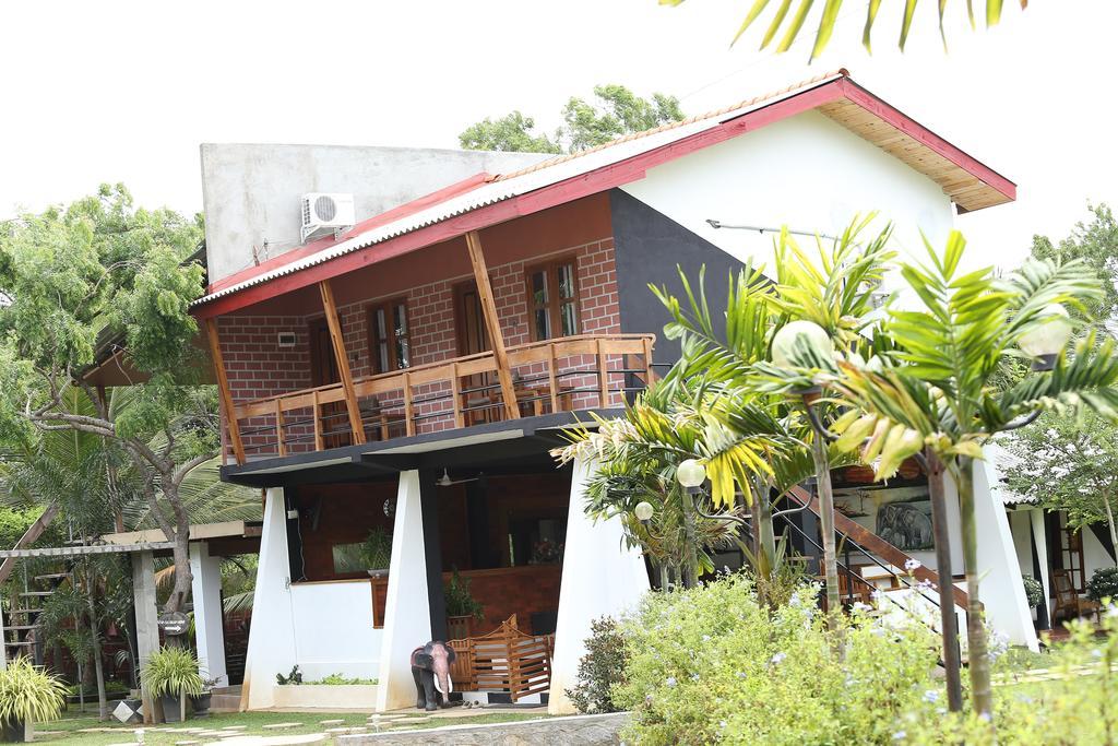 Eco Hotel Black & White - Anuradhapura Mihintale Extérieur photo