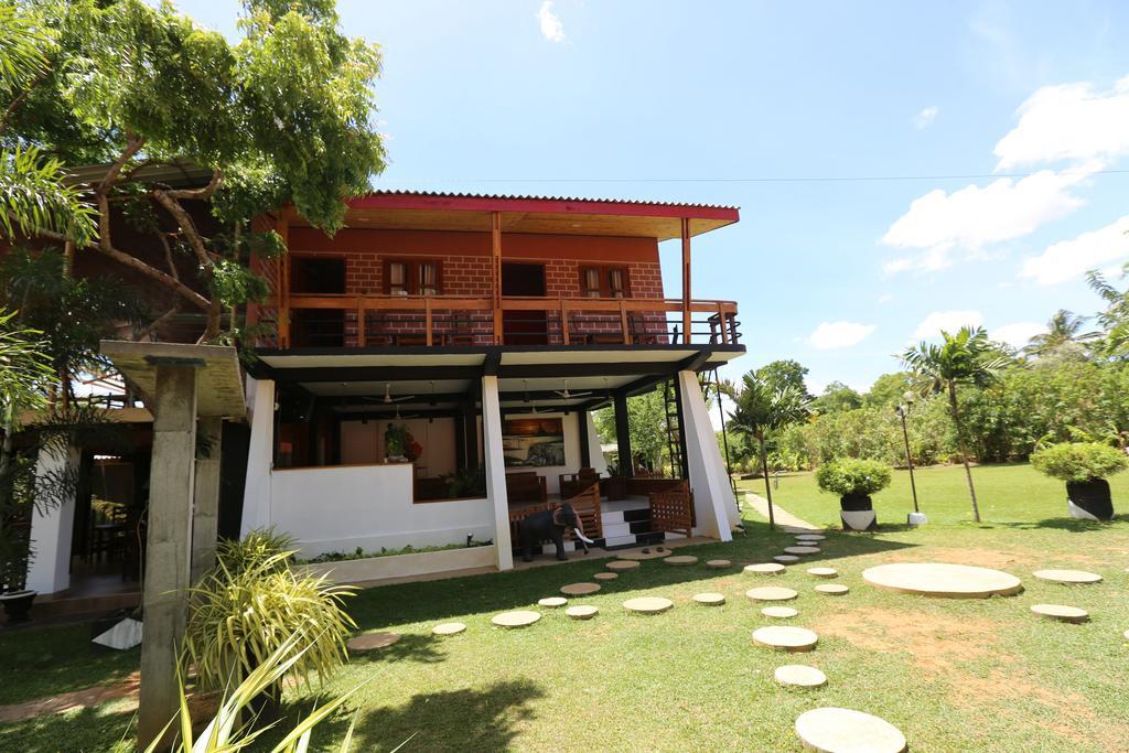 Eco Hotel Black & White - Anuradhapura Mihintale Extérieur photo