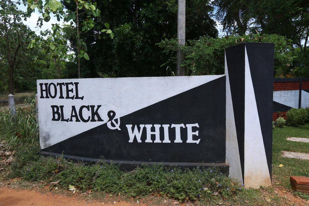 Eco Hotel Black & White - Anuradhapura Mihintale Extérieur photo