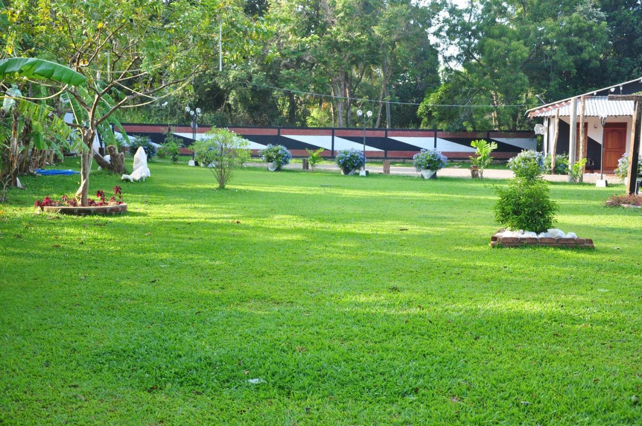 Eco Hotel Black & White - Anuradhapura Mihintale Extérieur photo
